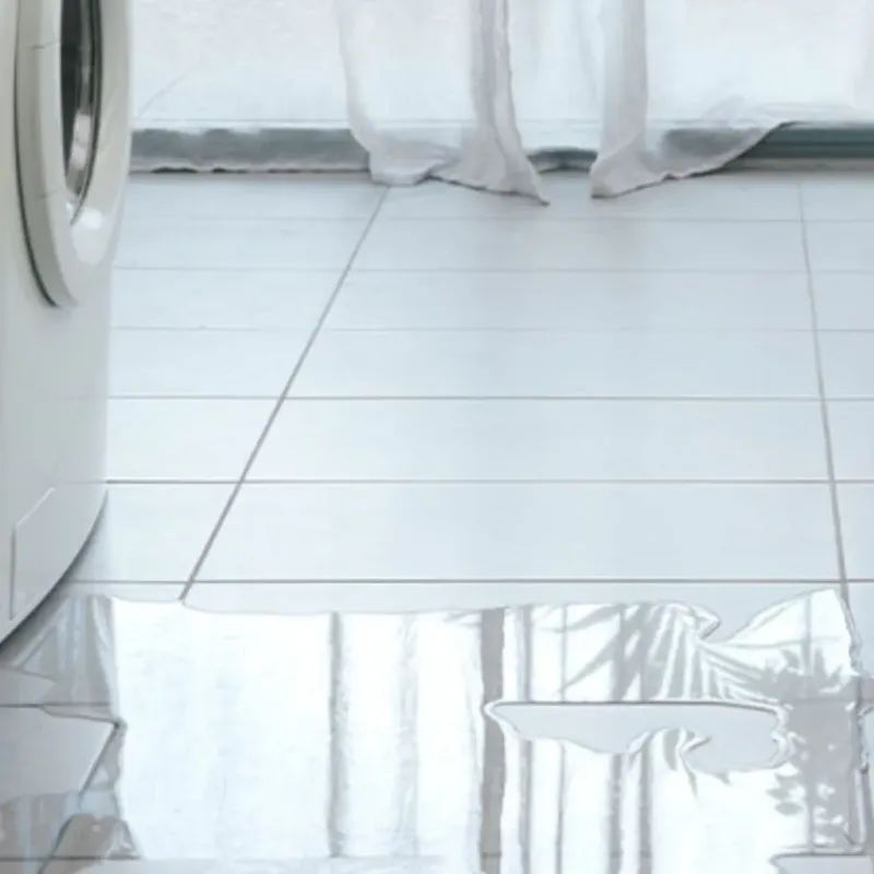 Appliance Leak Cleanup in Westfield, WI