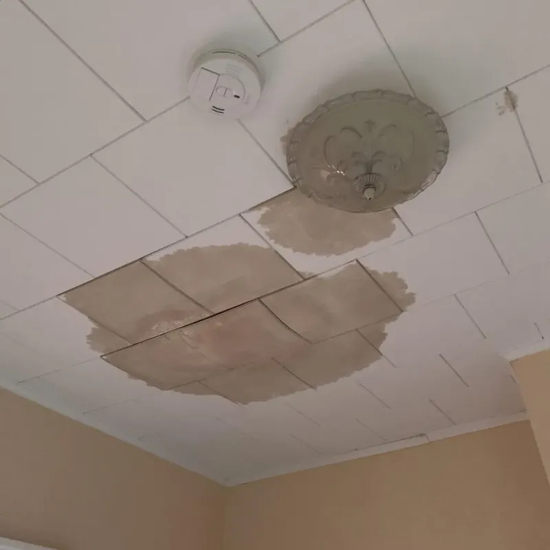 Ceiling Water Damage Repair in Westfield, WI