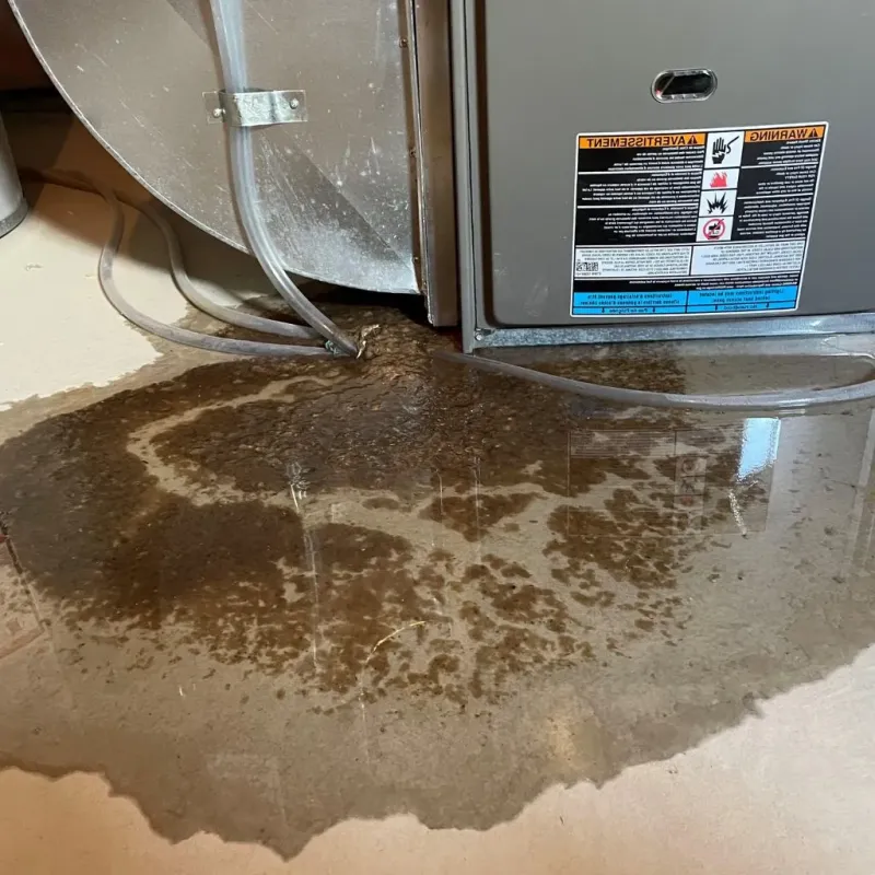 Pipe Burst and Leak Restoration in Westfield, WI